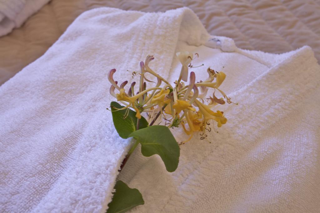 Mare E Monti - Hotel De Charme Feliceto エクステリア 写真