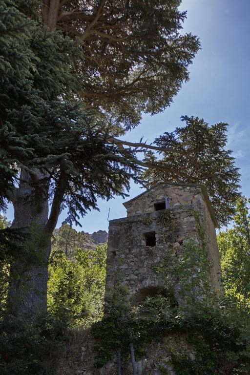 Mare E Monti - Hotel De Charme Feliceto エクステリア 写真